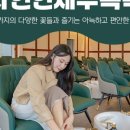 자연인힐링족욕