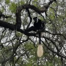 네버스탑트래블 이미지