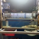 황금실내마차 | [먹골역 술집] 여전히 맛있는 먹골 노포맛집 황금마차 재방문 후기