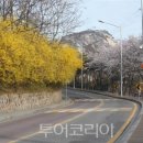 서울산책 이미지
