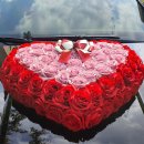 킹덤렌트카 이미지