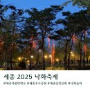 호수공원, 중앙공원 | [세종]인생여행지 2025 세종 호수공원 낙화축제