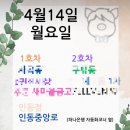 인동중앙로-8 이미지