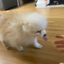 더꼬치다군산 | 남바완 가드🖐🏼