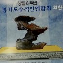석향