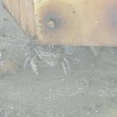 신창복지회관 이미지