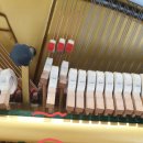 (주)영창시스템 | 인천 서구 검단 신도시 피아노 조율 검단동 연희동 청라동 피아노 조율로 아름다운 소리 들어보세요