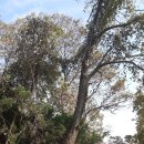 동평여자중학교 이미지