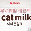 아이캣 이미지