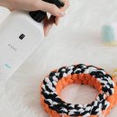 강아지공작소 이미지