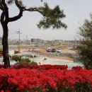 의료법인 송파의료재단 가야요양병원 이미지