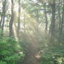 삼양농장 이미지