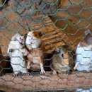 새별수산 이미지