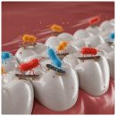 올바른 치과의원 이미지