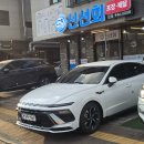 신선회
