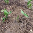 재환농장 이미지