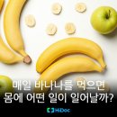 바나나 이미지