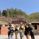 홍천 가리산레포츠파크 서바이벌 후기