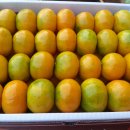 인국농장 | 월드컵 응원 웰빙녀이벤트 당첨자 발표