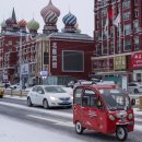 486DOG SCHOOL 이미지