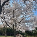 소영길 13 이미지