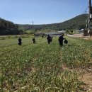 환경사업소