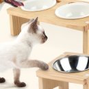 캣토피아 이미지