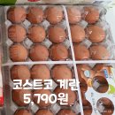 (주)와이즈넷 | 코스트코 3월할인상품 직접 장보기 후기와 온라인몰 M포인트 할인까지