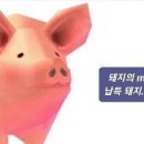 듀듀 이미지