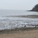 조은파출부 이미지