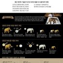 북부유전자 이미지