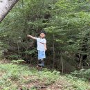 베짱이 새미와 놀아요😊 (향6.23) 이미지