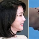 스윗테니스 이미지