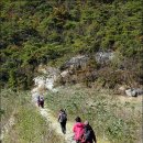 구불7길(신시도길) 이미지