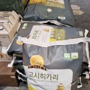 육미향 이미지