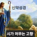 마르코복음서[14장1절-72절] 이미지