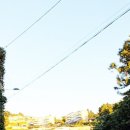 하례광장로 이미지