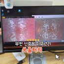 그린프라자 | 부천신중동피부관리 쏘울터치 슈디바 리빌딩케어 관리 후기