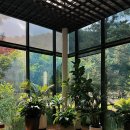 별끌림하우스 | 가평 아난티 코드 무라타하우스 리뷰｜1층 102호, 프라이빗 온천 &amp; 룸서비스 후기 포함