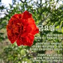 금요일 이미지