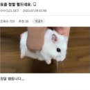 웁스 디테일링 이미지