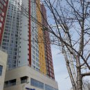 K-나눔 행정사사무소 이미지