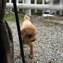 씨사이드힐 | [캠핑로그 #2] 강화도씨사이드힐캠핑장 메이플3 사이트 후기