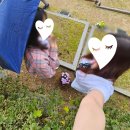 어린왕자 시골집 | 10월 일상 1탄 : 연휴를 어떻게 보내야 재밌게 놀았다고 소문이 날까?