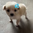 고도일 병원 | 12.🫰🏻💕🧸