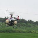 금포농장 이미지