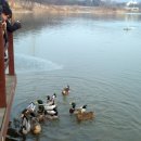 인천대공원 야영장 이미지