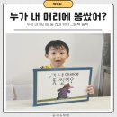 누가 내 머리에 똥 쌌어 유아 그림책 똥 책