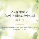 교회신문 ＞ 제 1377호 붕우칼럼. 기도 시간을 지켜라. 골4:2, 단6:10, 살전5:17 이미지