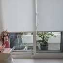 화이트래빗 풀빌라 이미지